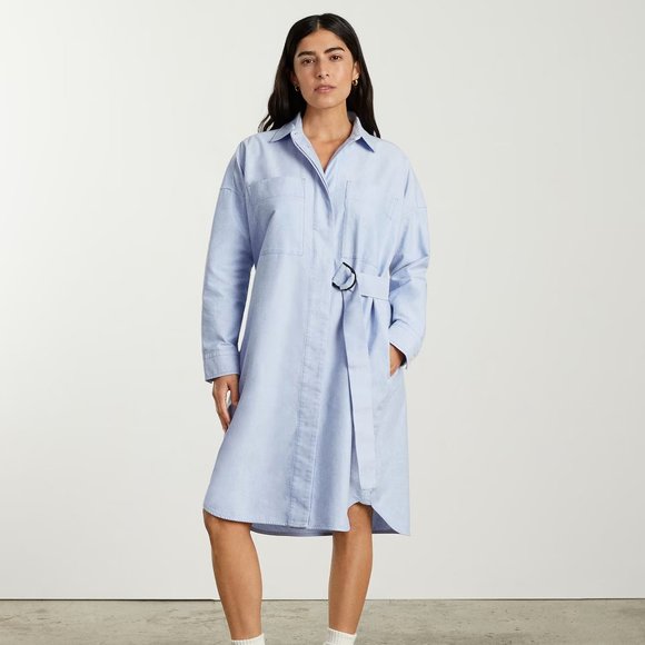 Everlane Dresses & Skirts - Everlane Oxford Shirt Dress